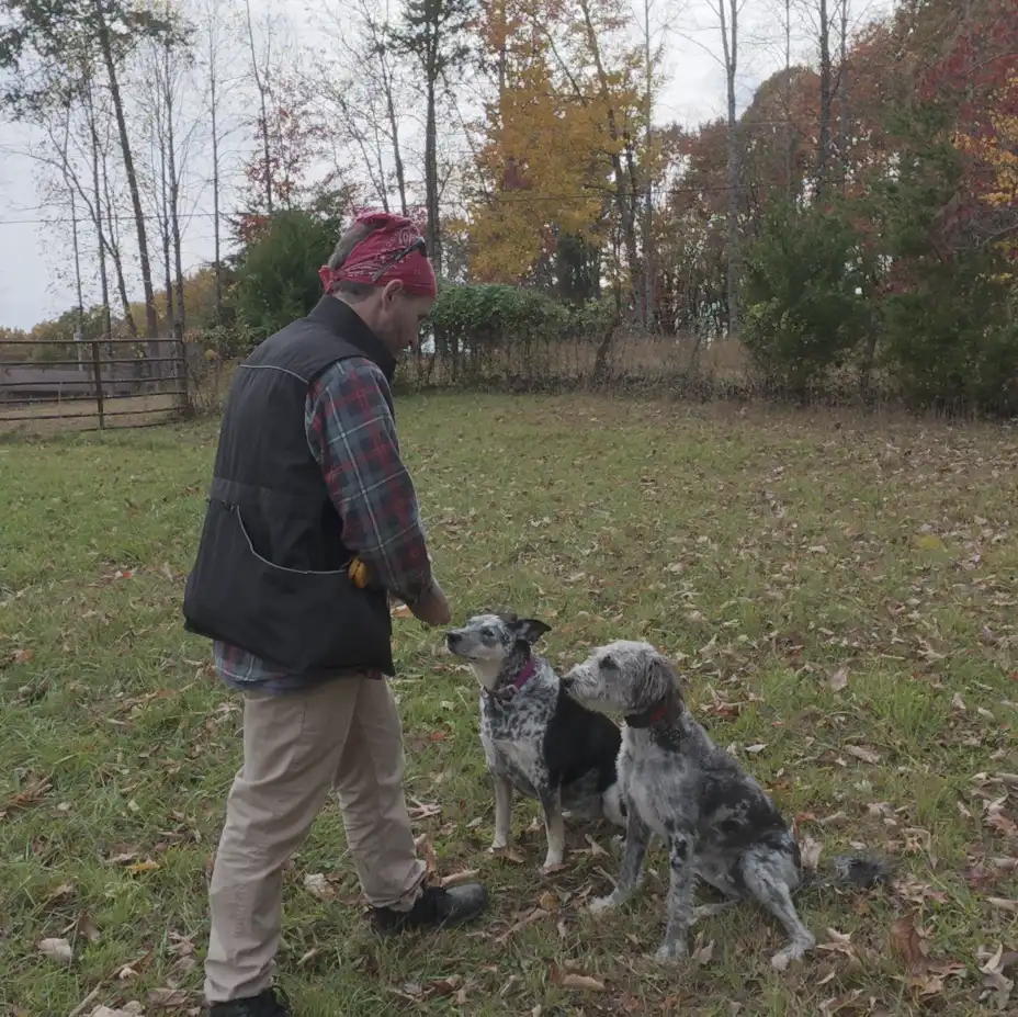 Training Session with a intensive program built in